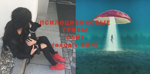 каннабис Богданович