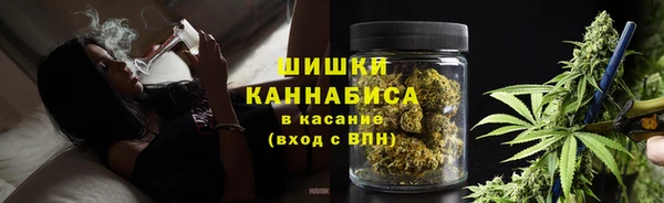 Альфа ПВП Богородицк