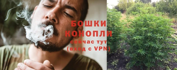 каннабис Богданович
